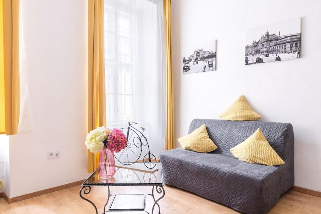 Vintage Style Cozy Downtown Apartment. Apartment *